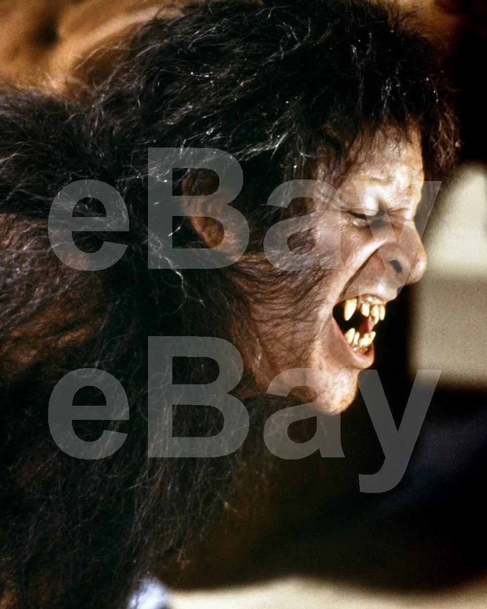 An American Werewolf in London (1981) David Naughton 16x12 Photo Poster Print, изображение 4