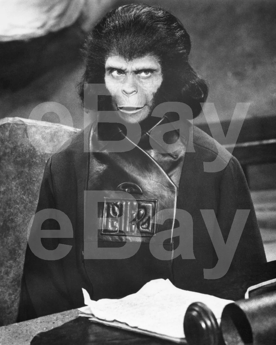 Planet of the Apes (1968) Kim Hunter 16x12 Photo Poster Print, изображение 4