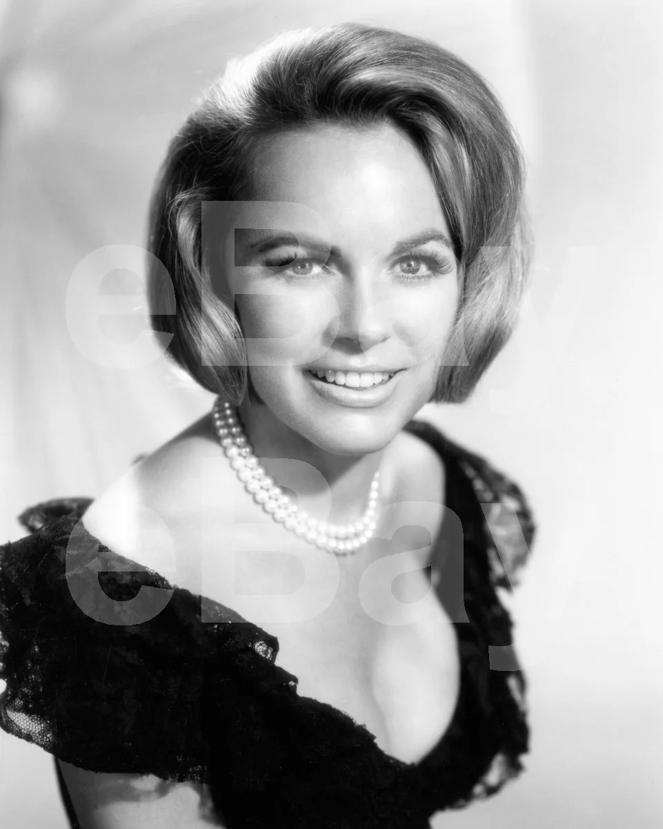 Black Spurs (1965) Terry Moore 16x12 Photo, изображение 4