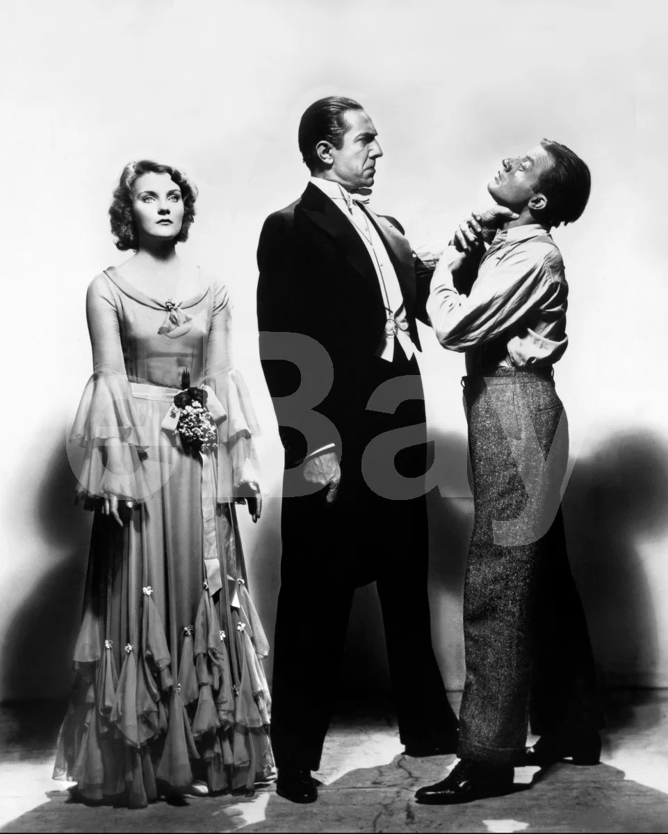 Dracula (1931) Helen Chandler, Bela Lugosi, Dwight Frye 16x12 Photo Poster Print, изображение 4
