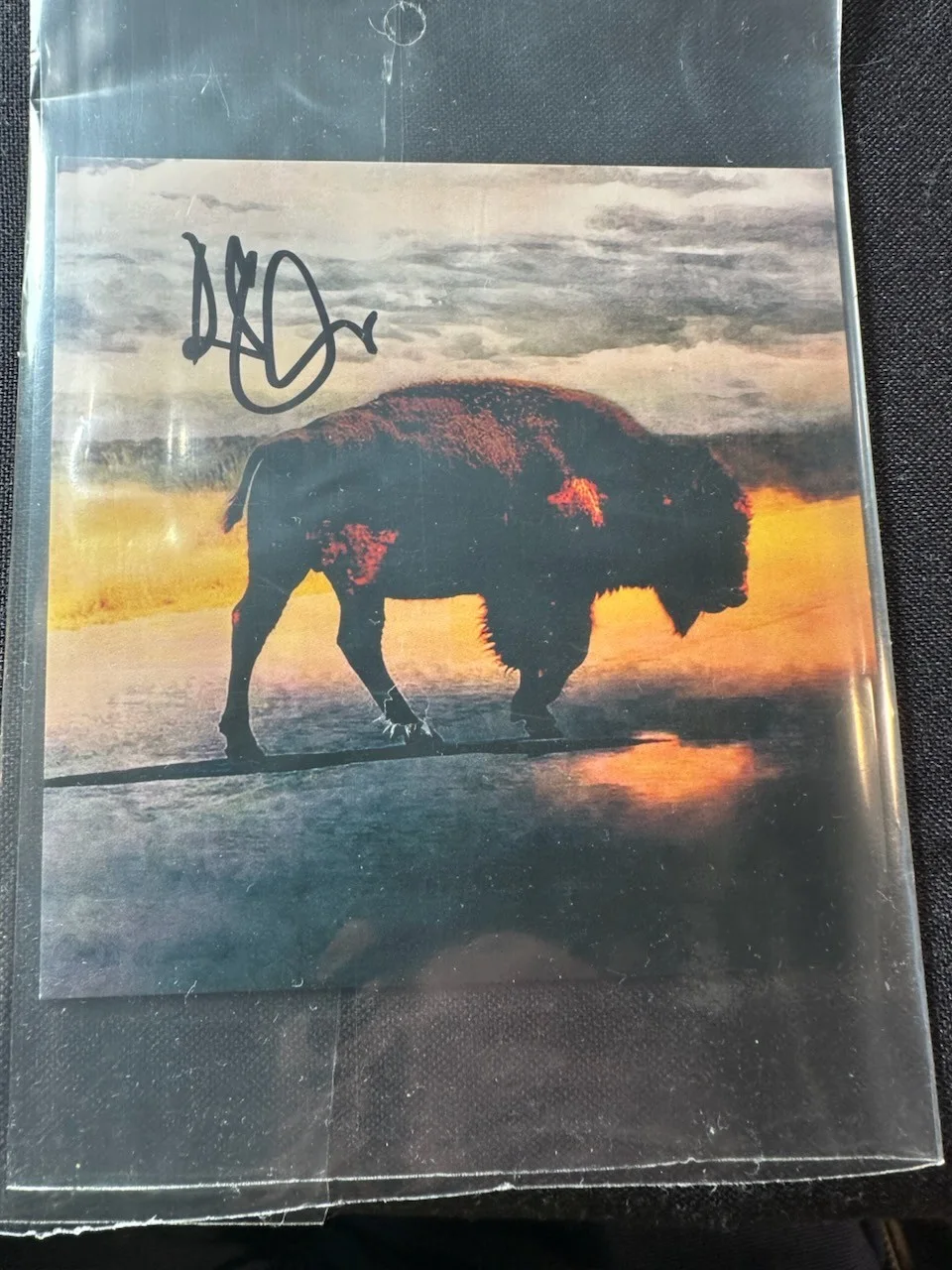ROBERT PLANT SIGNED SAVING GRACE CD ON COVER AUTO IN HAND, image 5