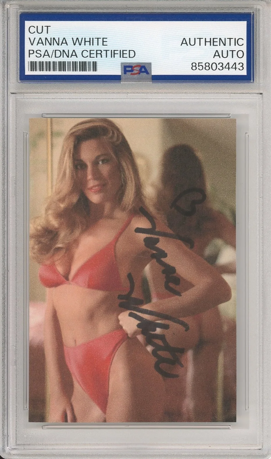 Vanna White — VANNA WHITE WHEEL OF FORTUNE SIGNED PLAYBOY RED THONG PHOTO PSA DNA COA AUTO