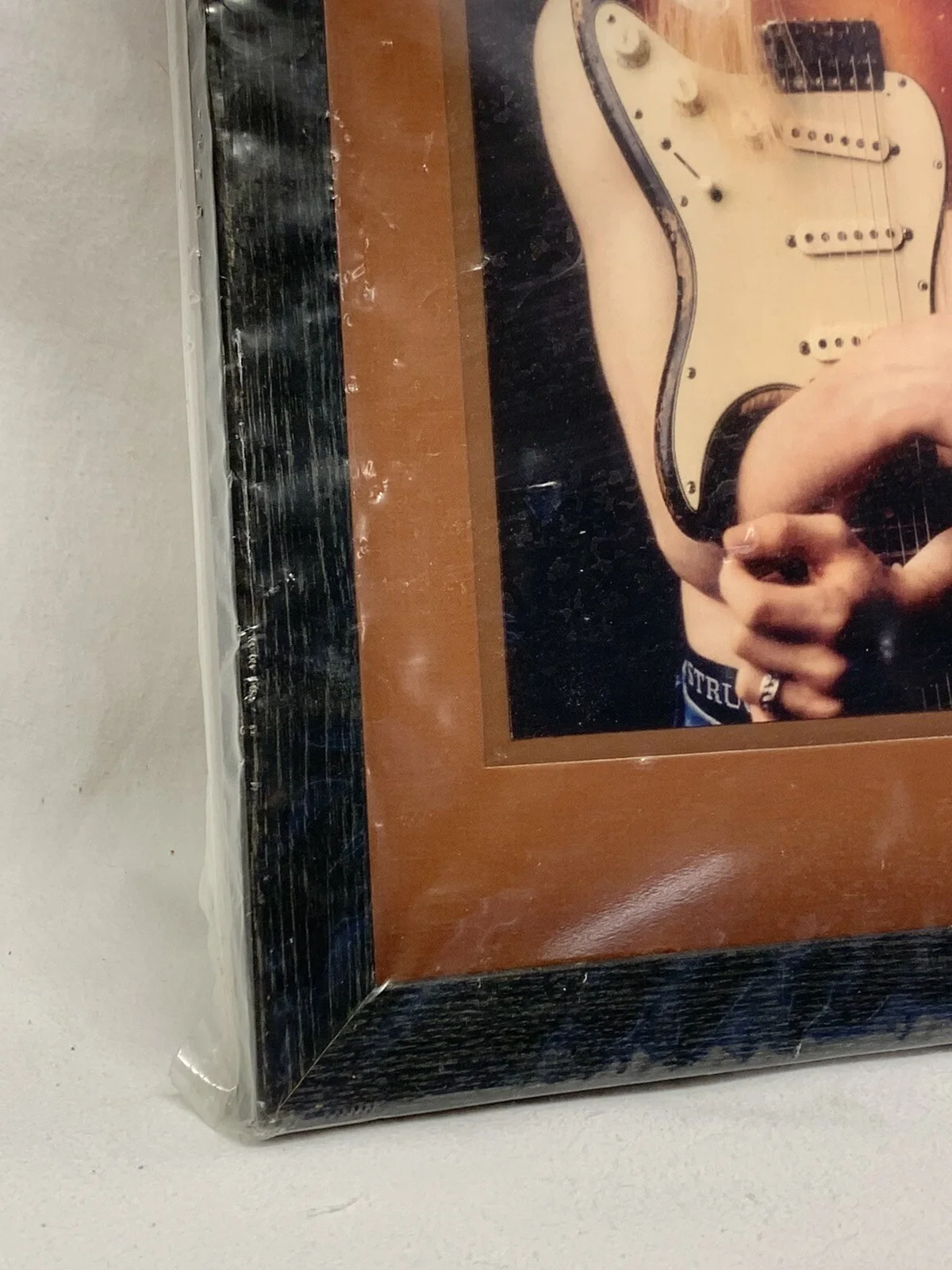Kenny Wayne Shepherd Trouble Is Signed Music Album Limited Edition Autograph COA, изображение 4