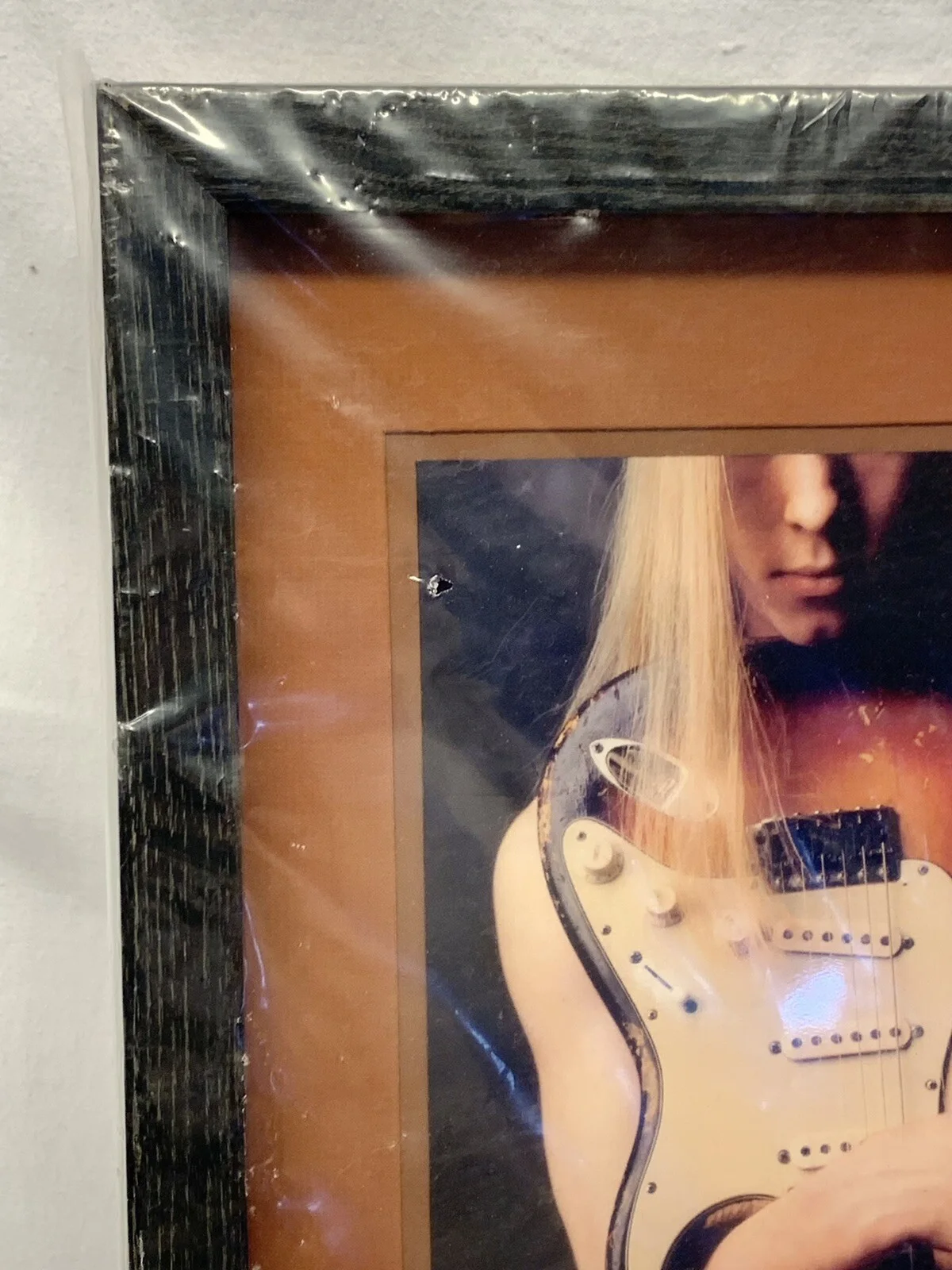 Kenny Wayne Shepherd Trouble Is Signed Music Album Limited Edition Autograph COA, изображение 5