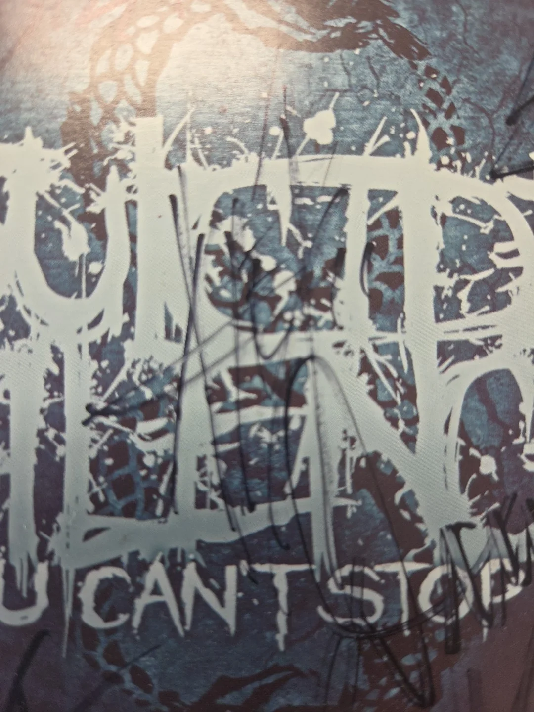 Signed Suicide Silence CD, image 4