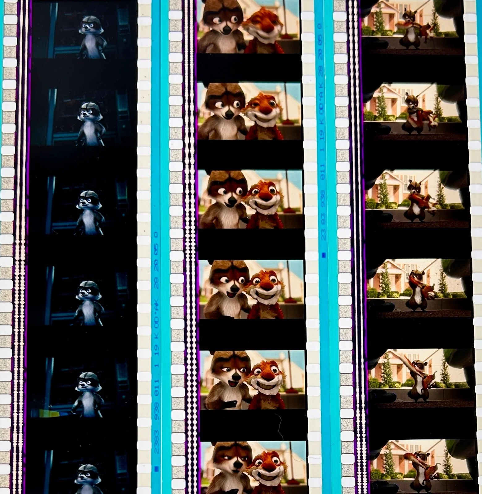 Over The Hedge - 2006 Very Rare Unmounted Genuine 35mm Film Cells, image 3