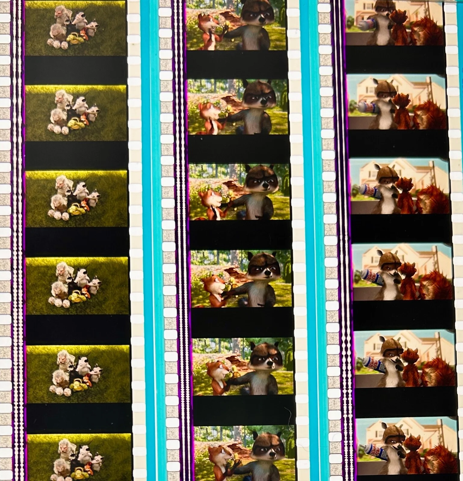 Over The Hedge - 2006 Very Rare Unmounted Genuine 35mm Film Cells, image 5