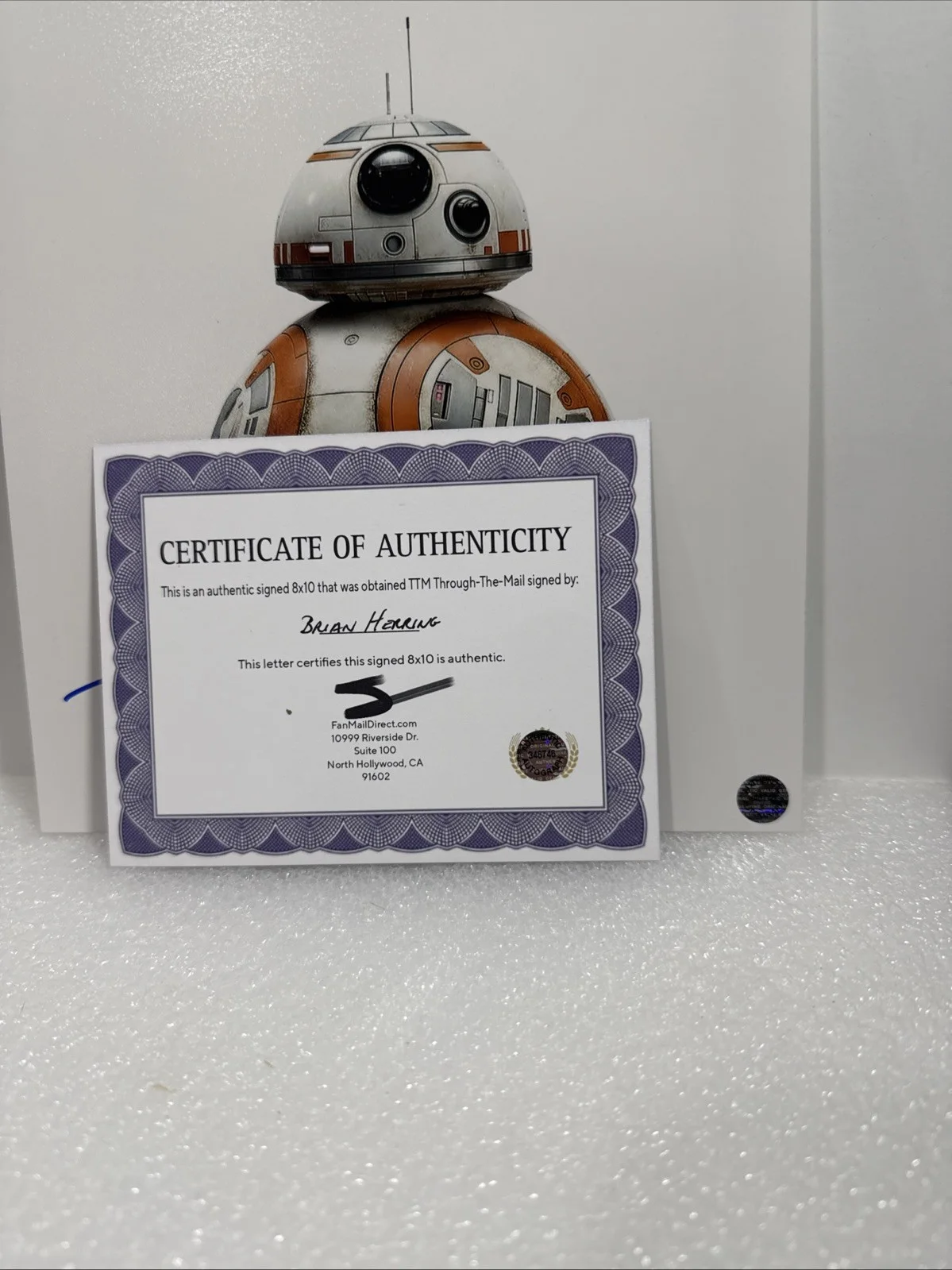 actor — Brian Herring (Star Wars BB-8) Signed Autographed 8x10 photo - AUTO with COA, image 2