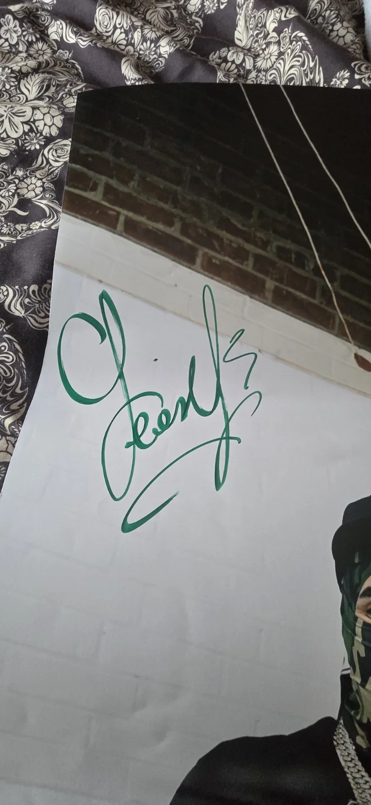 Ohgeesy Signed Offical Zumiez Poster, image 3