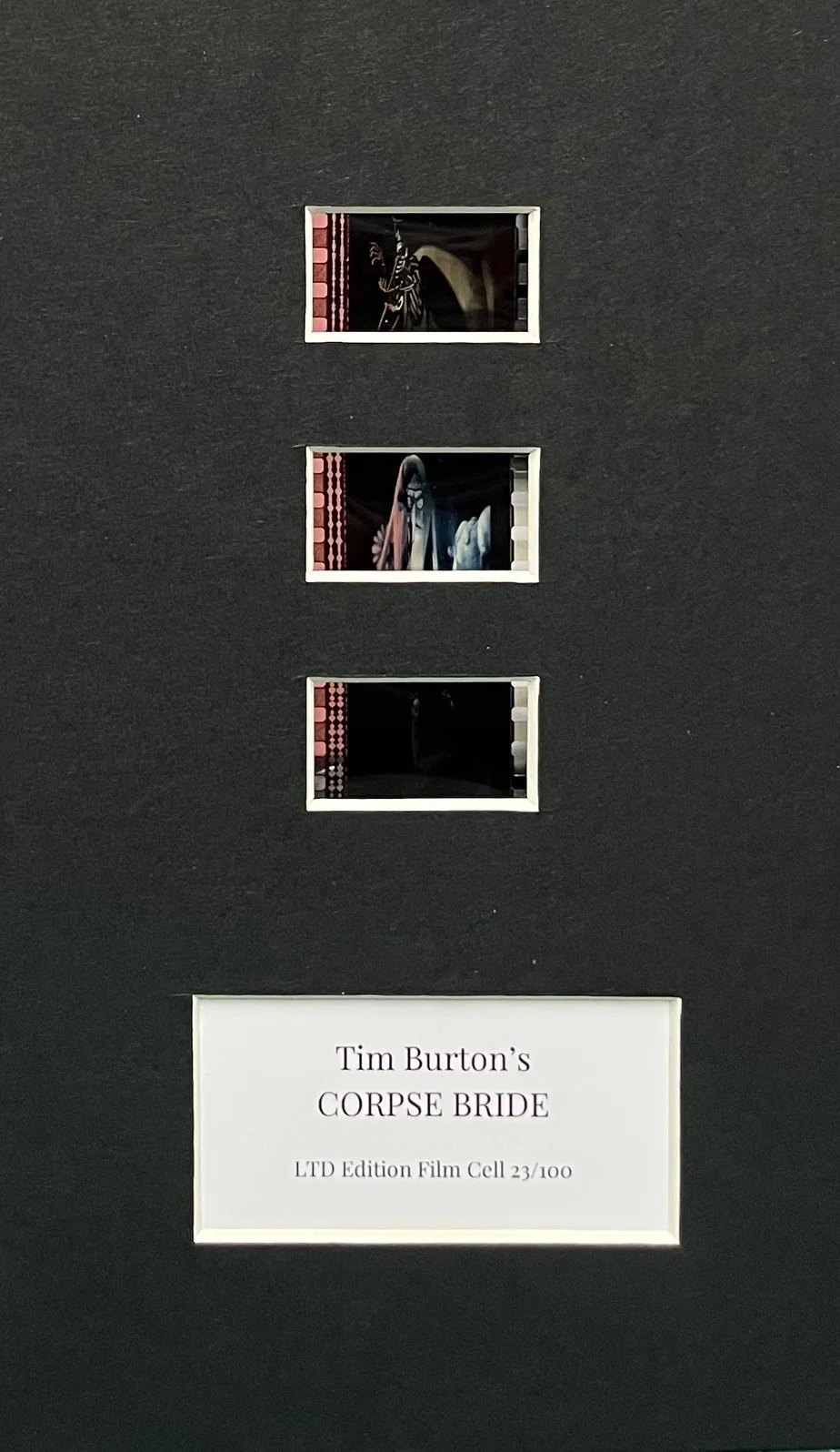 CORPSE BRIDE. Tim Burton. . 35mm Film Cell Mounted Display, image 2