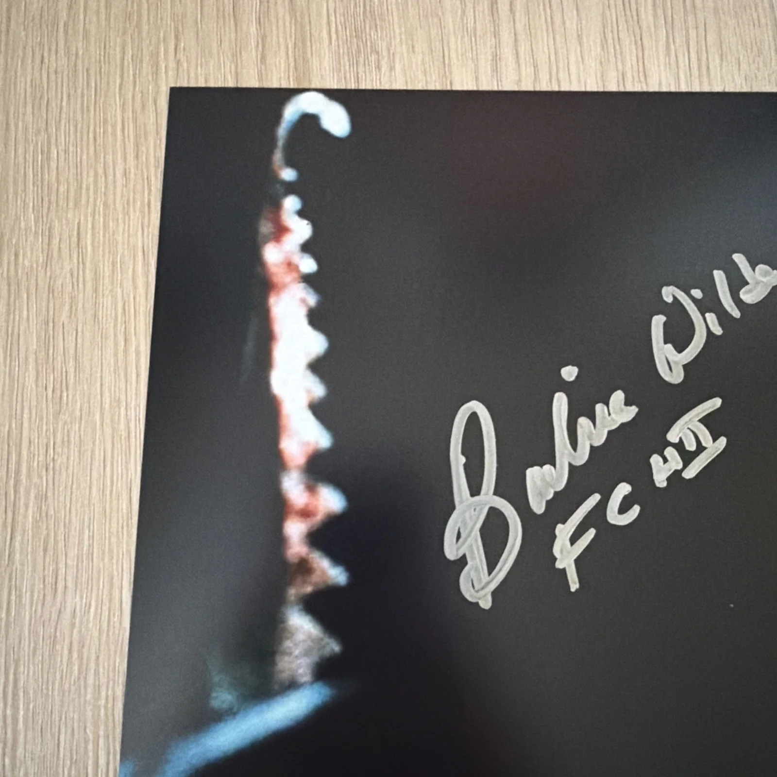 Barbie Wilde signed Hellraiser "female cenobite" 8x10, image 4