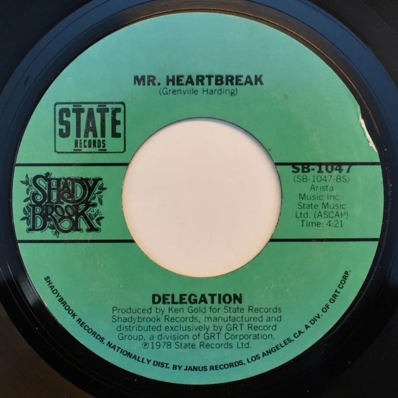 Delegation - Someone Oughta Write A Song / Mr. Heatbreak (7"), image 2