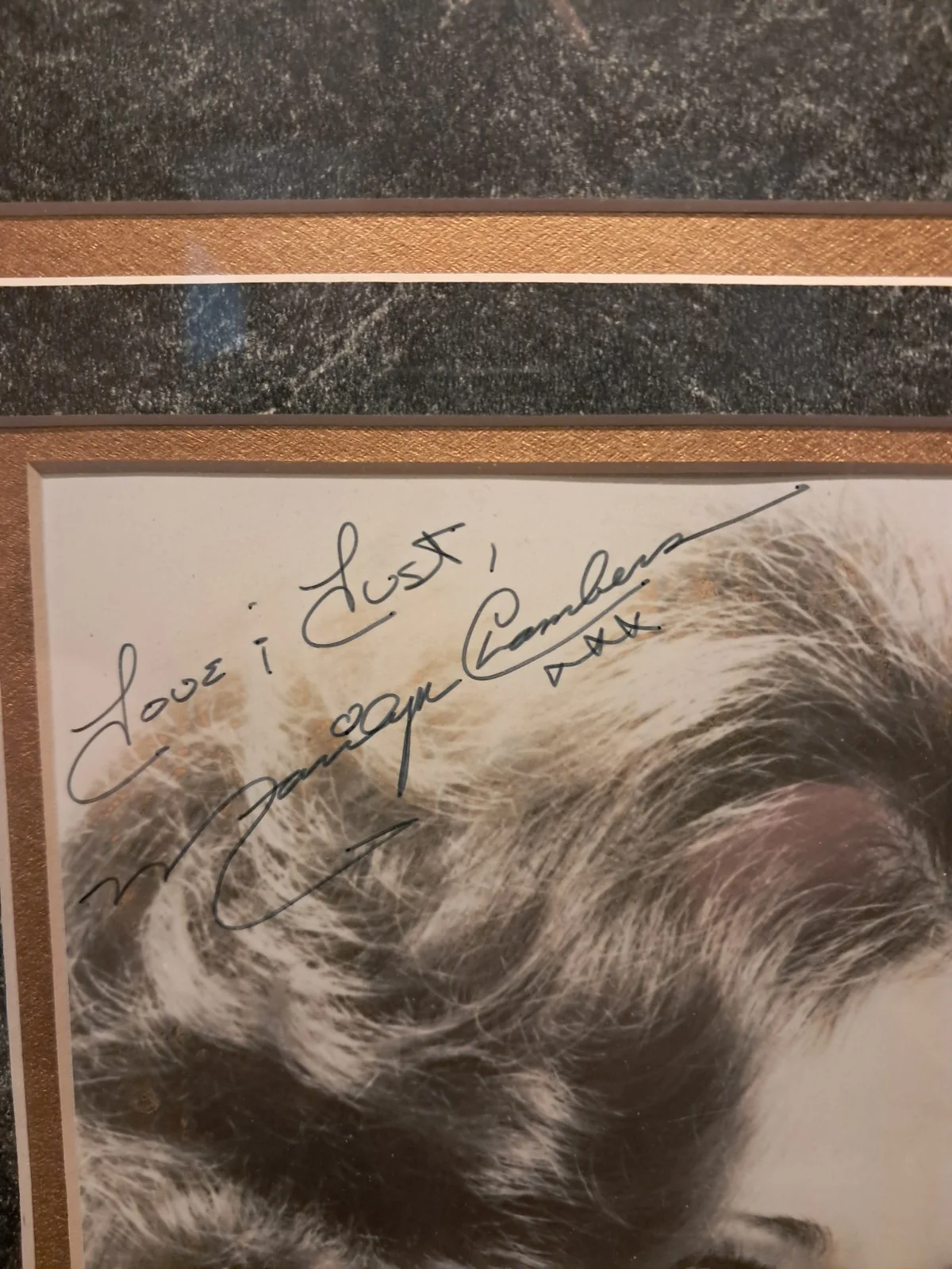 Framed Autograph Of Marilyn Chambers, image 2