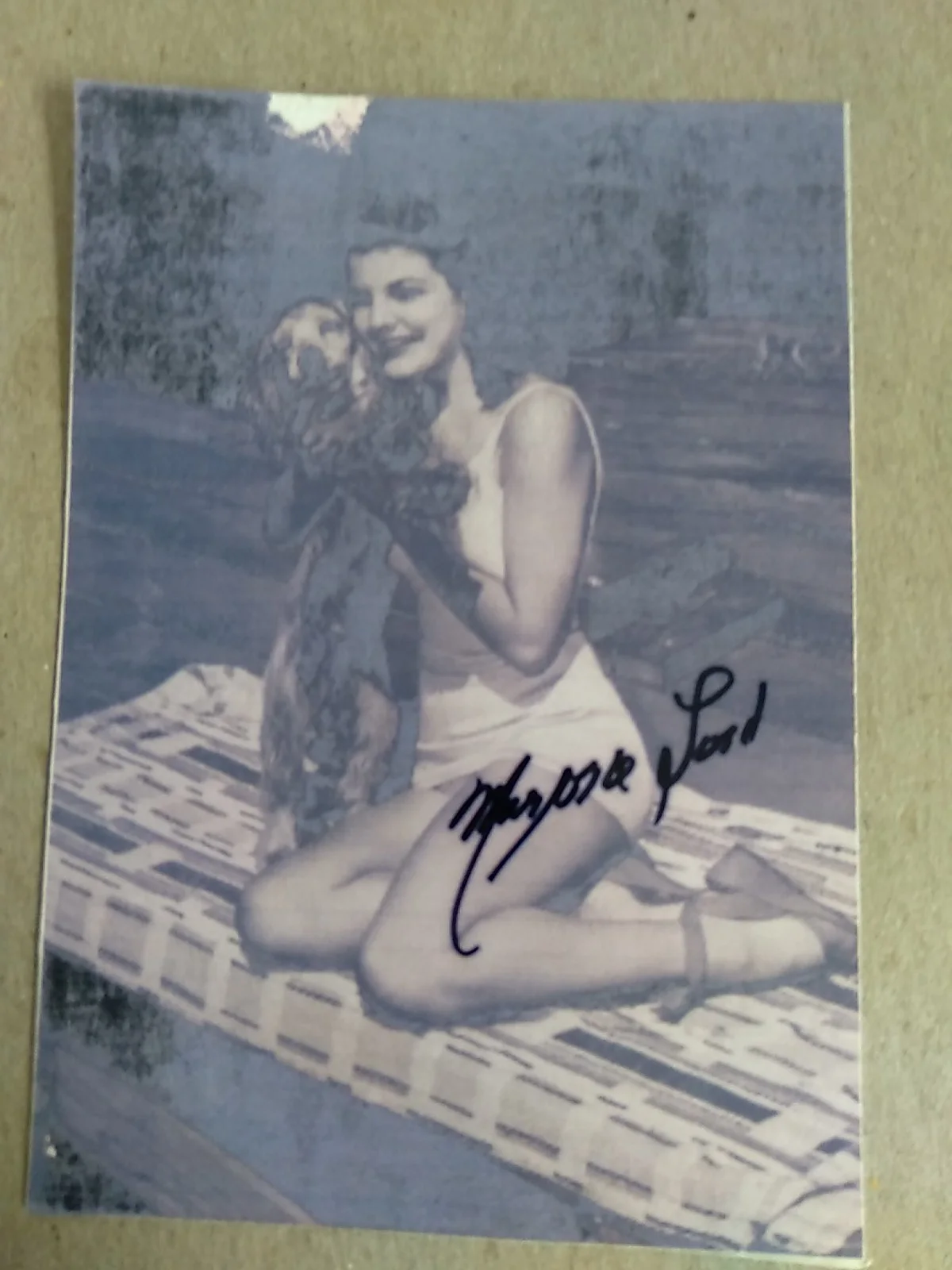 Marjorie Lord Signed Autograph 5x3.5in Photo, image 2