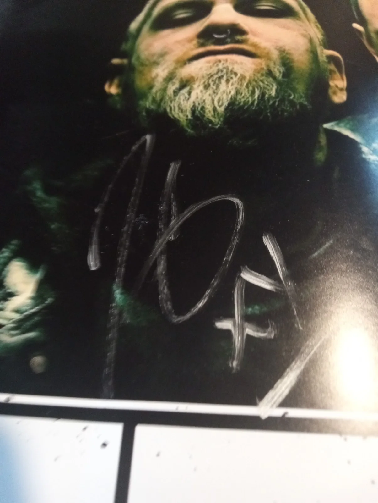 DED signed used drumhead and poster, image 4