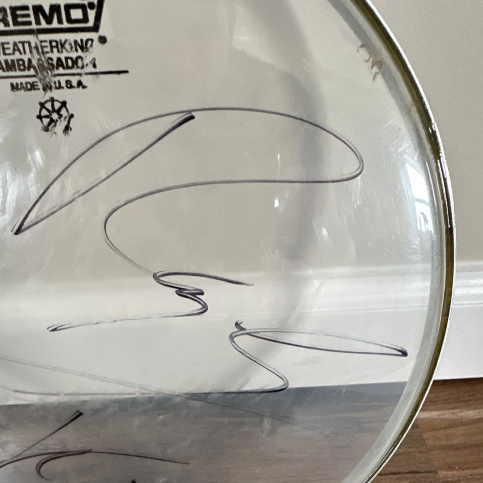 Korn Signed-Remo Weatherking Ambassador Signed Drumhead, image 3