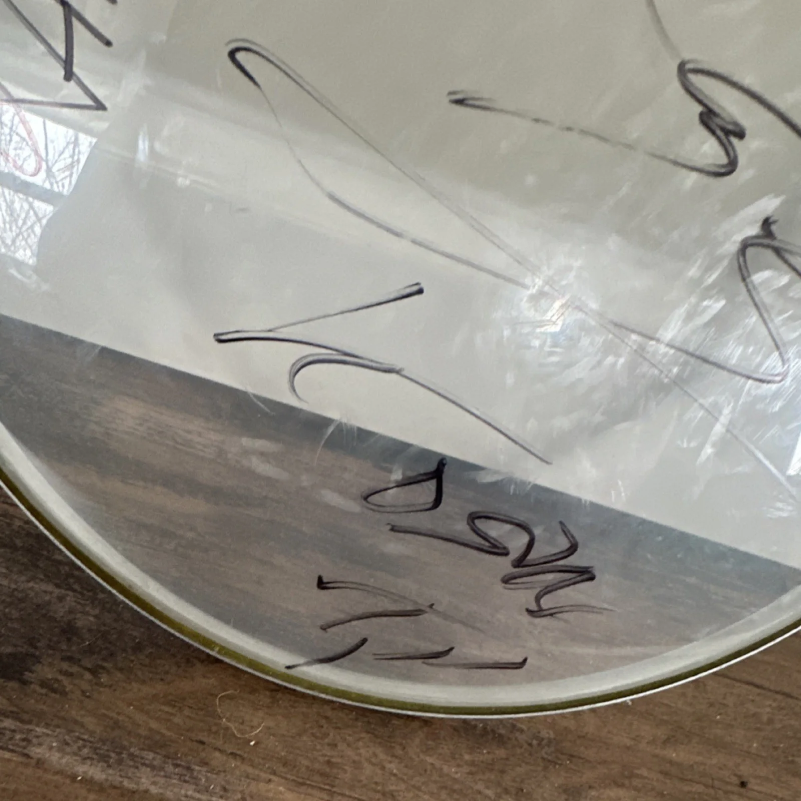 Korn Signed-Remo Weatherking Ambassador Signed Drumhead, image 4