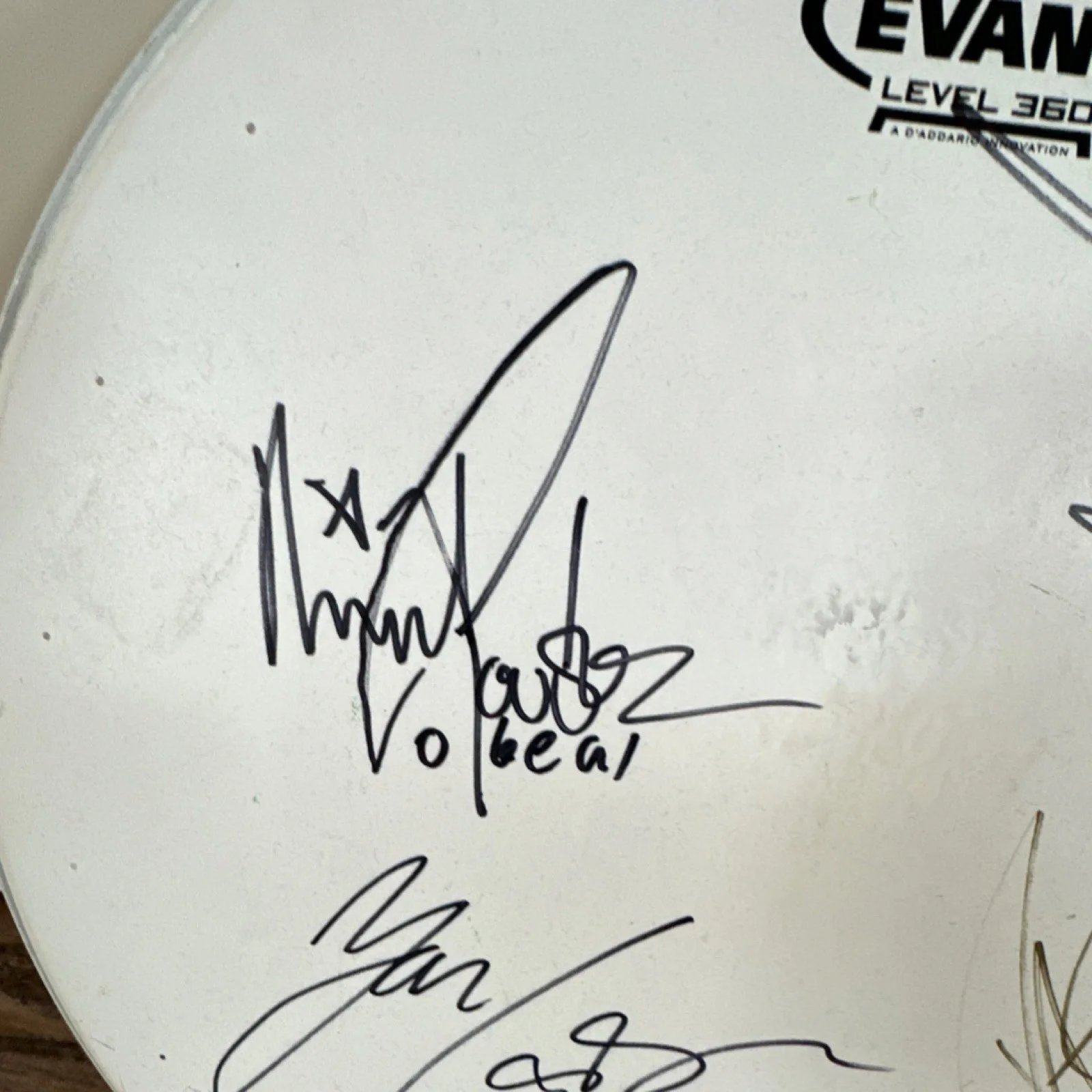 Volbeat Signed Evans Level 360 ST Dry Drumhead-Caught at concert, image 2