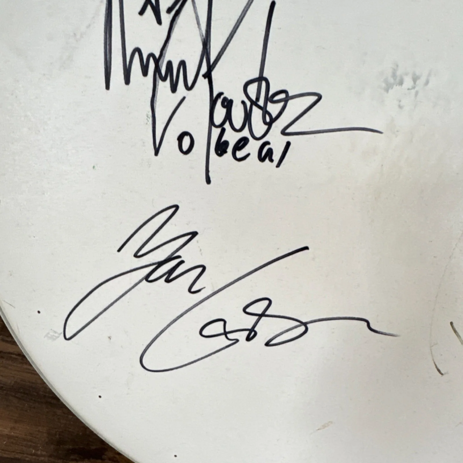 Volbeat Signed Evans Level 360 ST Dry Drumhead-Caught at concert, image 3