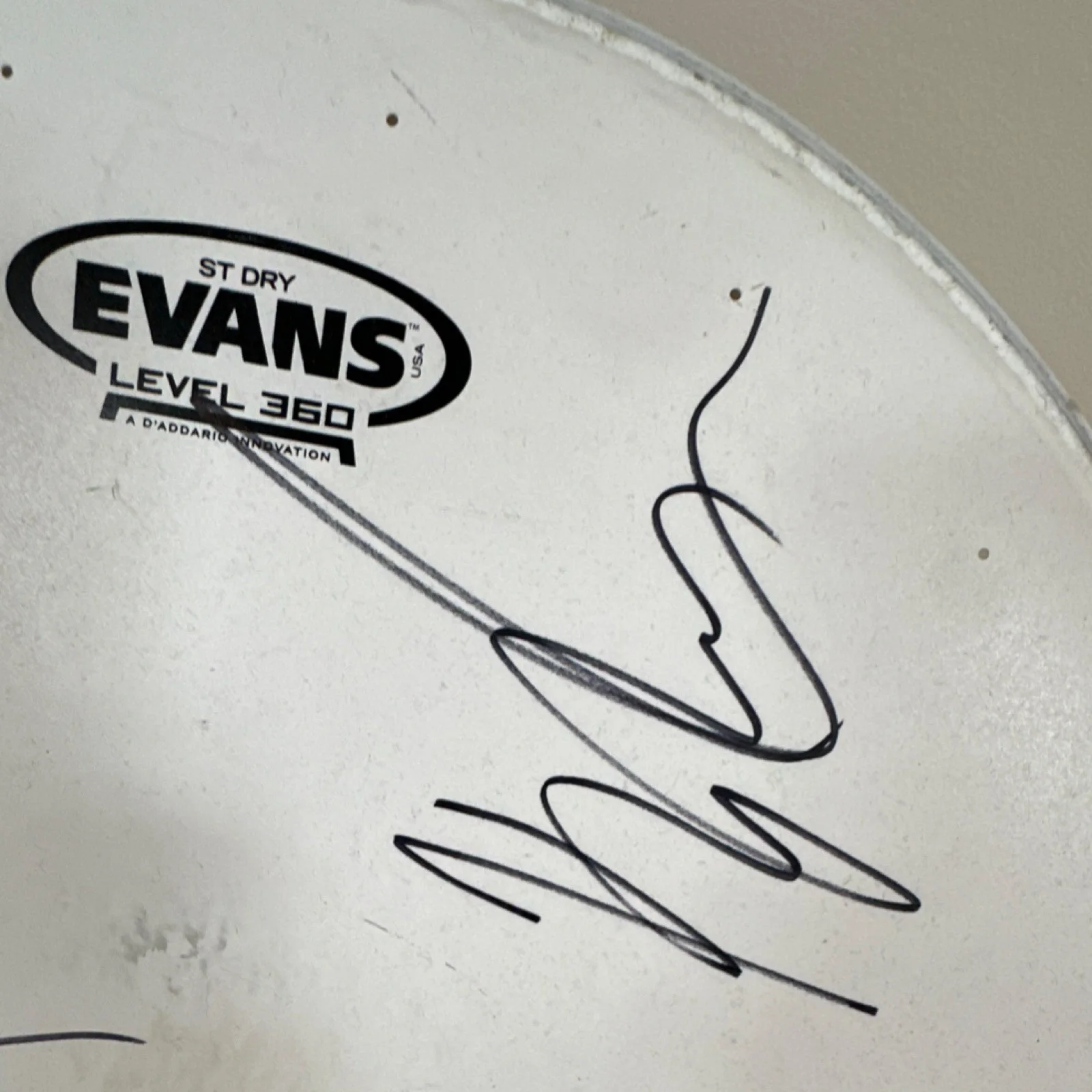 Volbeat Signed Evans Level 360 ST Dry Drumhead-Caught at concert, image 4