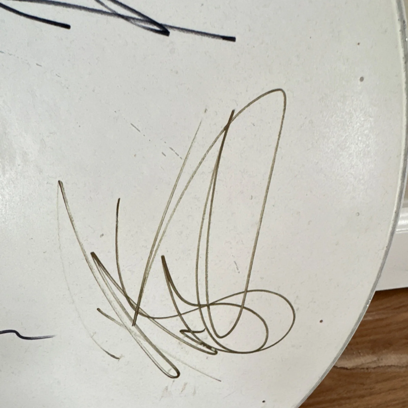 Volbeat Signed Evans Level 360 ST Dry Drumhead-Caught at concert, image 5