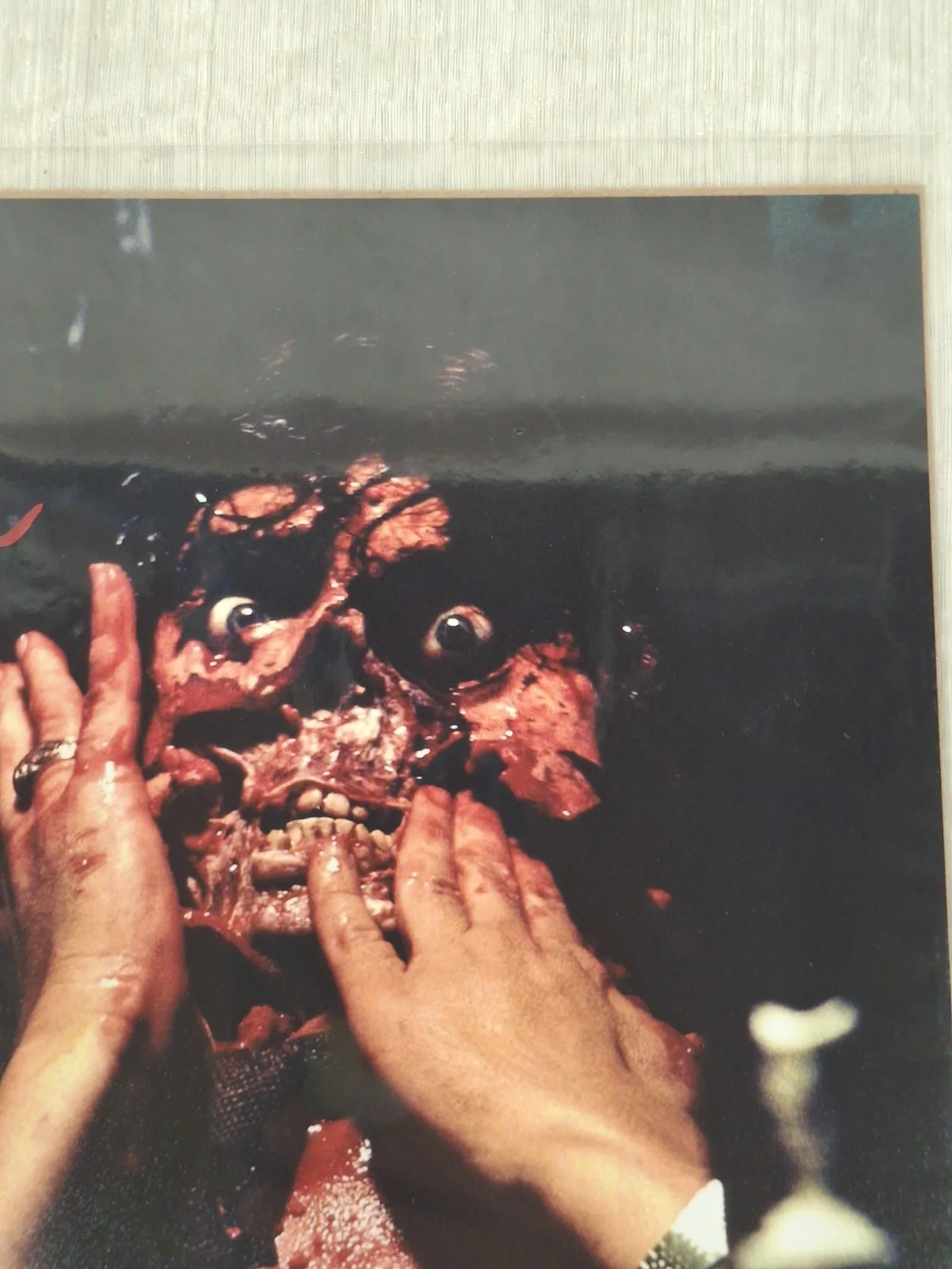 Martin Casella — Martin Casella Signed 8X10 w/ Bam Box COA Poltergeist, image 3
