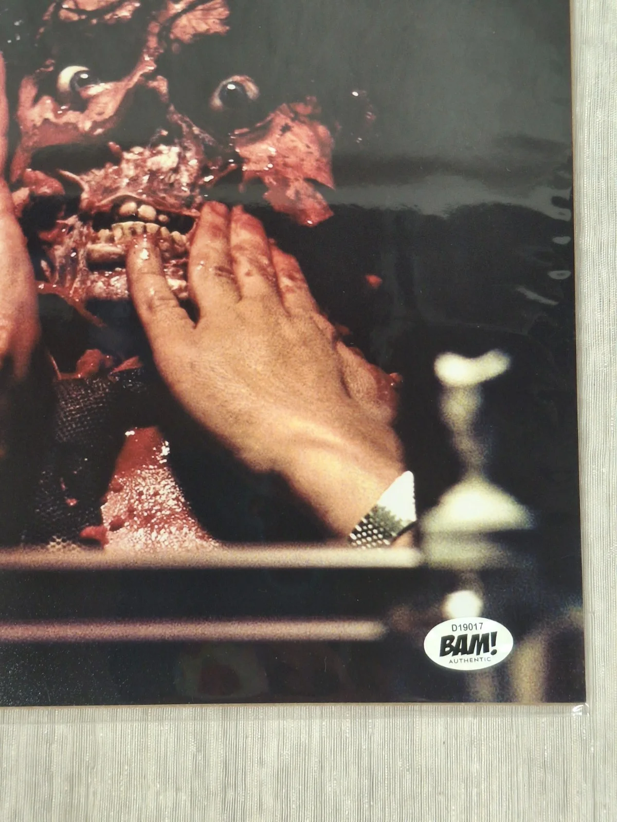 Martin Casella — Martin Casella Signed 8X10 w/ Bam Box COA Poltergeist, image 4