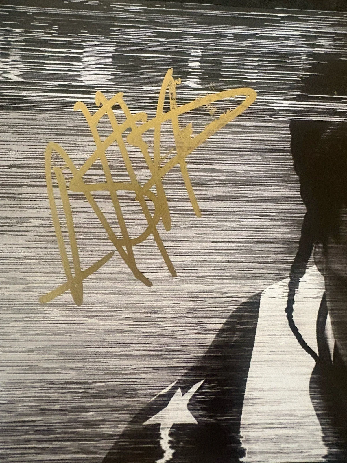 ASAP ROCKY SIGNED AUTOGRAPH LONG LIVE A$AP LP VINYL ALBUM PSA/DNA COA, изображение 2