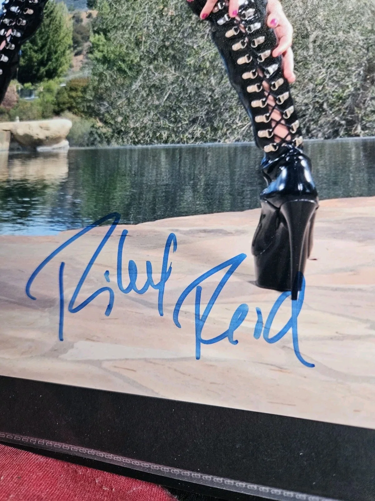 Riley Reid — Riley Reid Signed 8x10 Photo Adult Star Autographed JSA COA, изображение 3