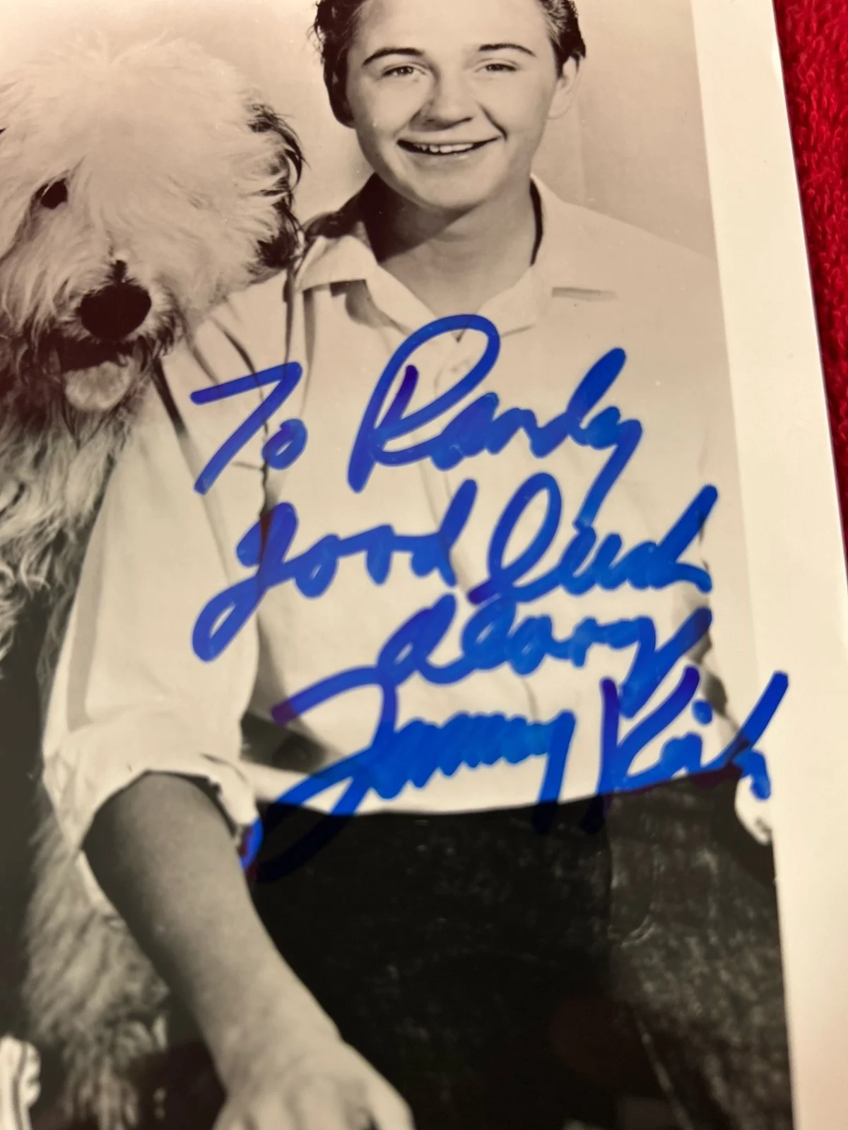 Tommy Kirk — Tommy Kirk Shaggy Dog Signed In Person 8X10 At The Hollywoodshow, изображение 2