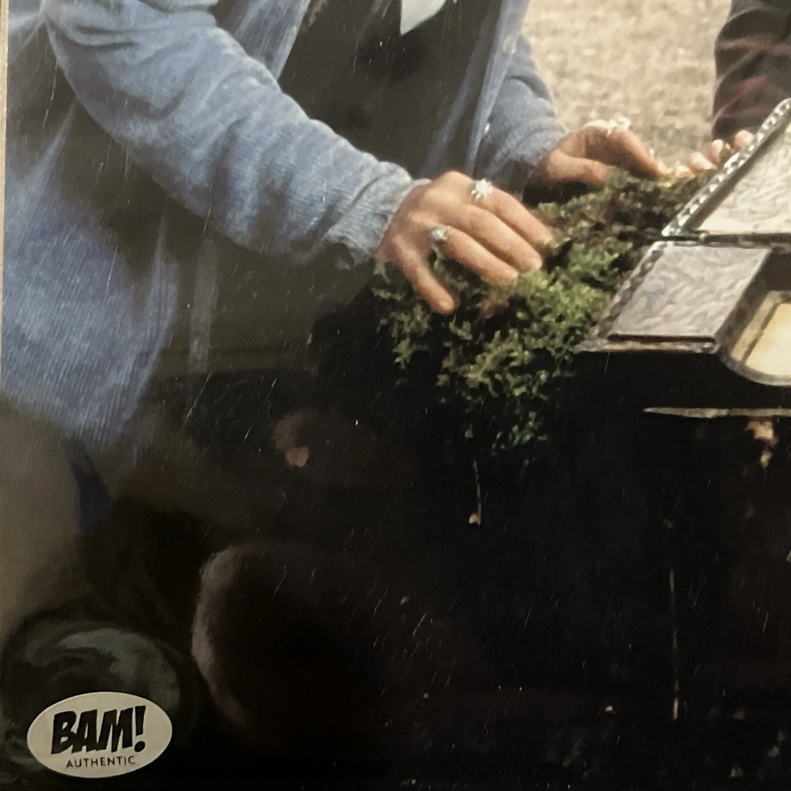 Bradley Pierce — Bradley Pierce Autograph Signed 8x10 Photo Jumanji Peter BAM Authentic, изображение 3