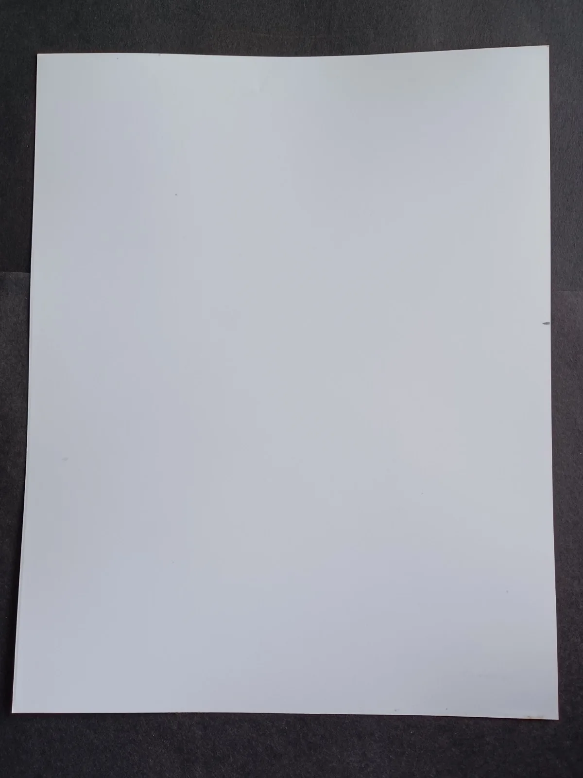 Shelley Berman (d. 2017) Signed 8x10 Photo - Curb Your Enthusiasm, Comedian, изображение 3