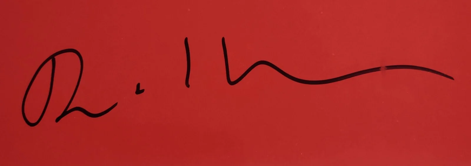 MUST READ! David Byrne TALKING HEADS Signed Autographed 11x14 Photo JSA Sticker!, изображение 2