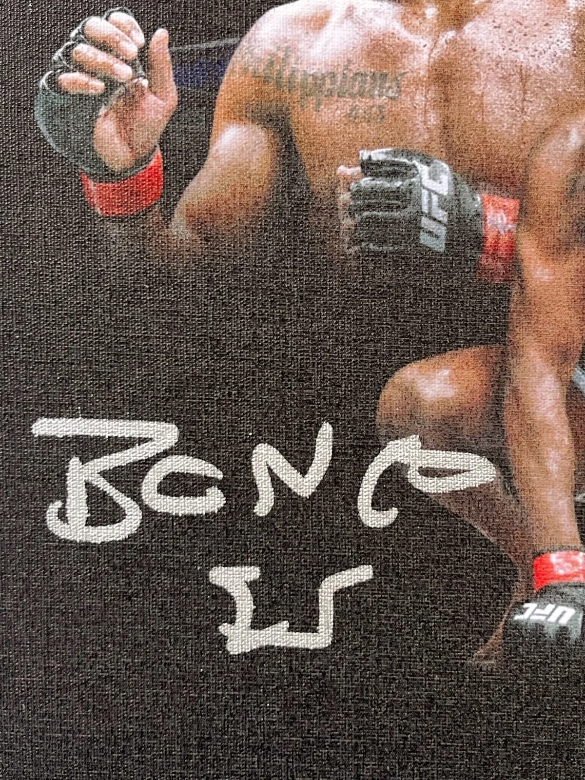 Jon “Bones” Jones UFC Fighter Autographed 8x10 Canvas Edit Beckett, image 2