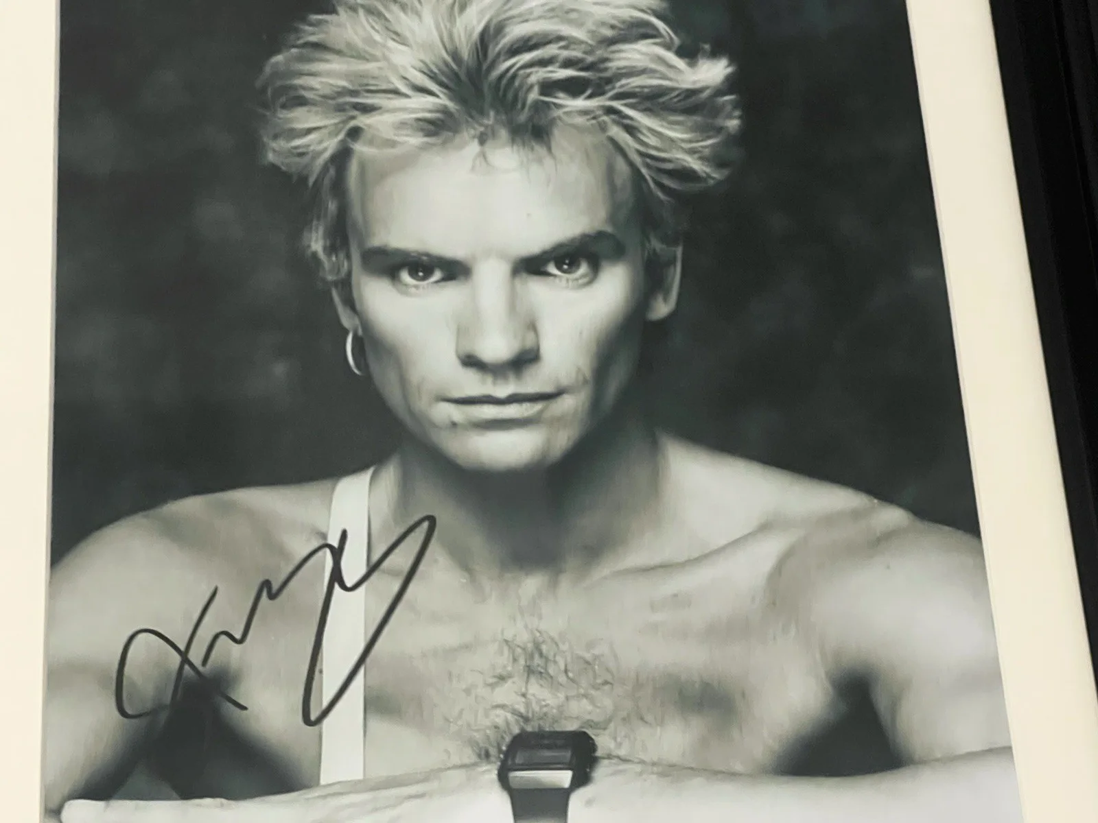 STING THE POLICE Autographed 8 X 11.5 Signed Photo Matted And Framed, image 3
