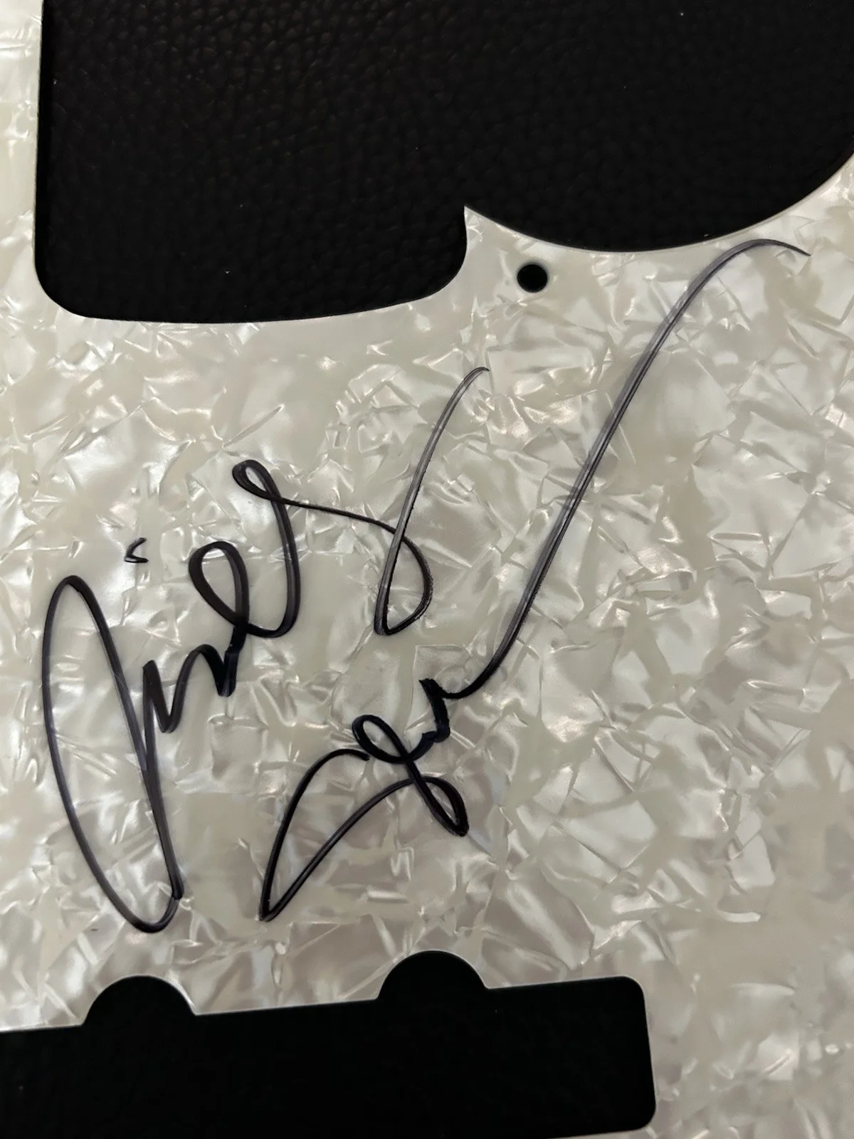 Billy Sheehan Autographed Pick Guard, изображение 2