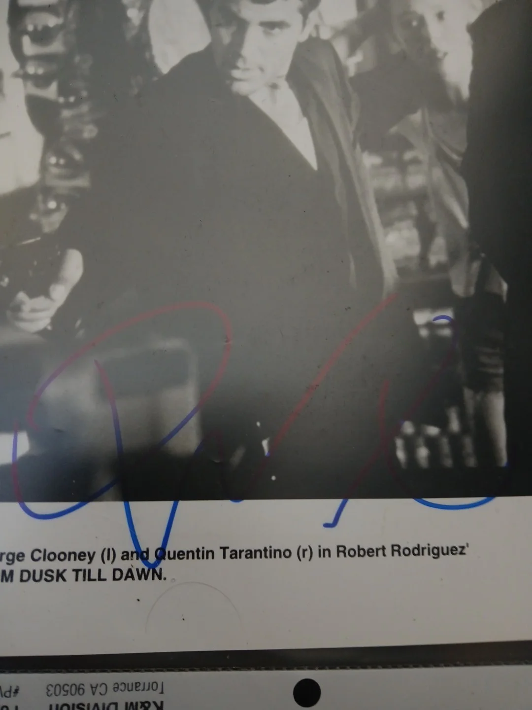Quentin Tarantino Autographed Photo 8x10 Signed Press Photograph Dust Till Dawn, изображение 3