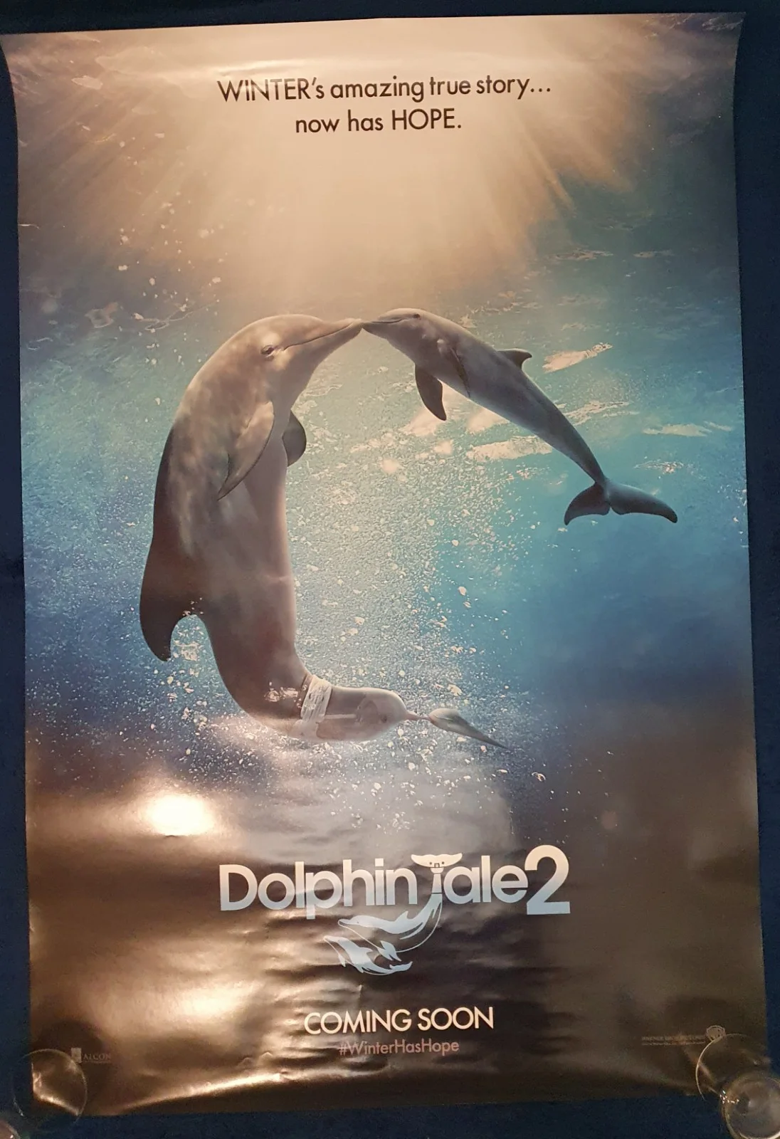 Dolphin tale 2 Original 1 Sheet Poster, image 2