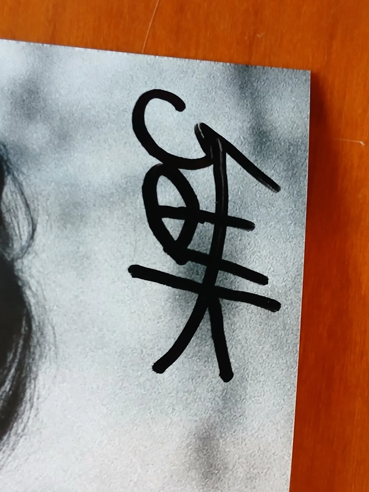 Bjork, Music Artist, Composer, Signed Autographed 6x4 Photo, image 3