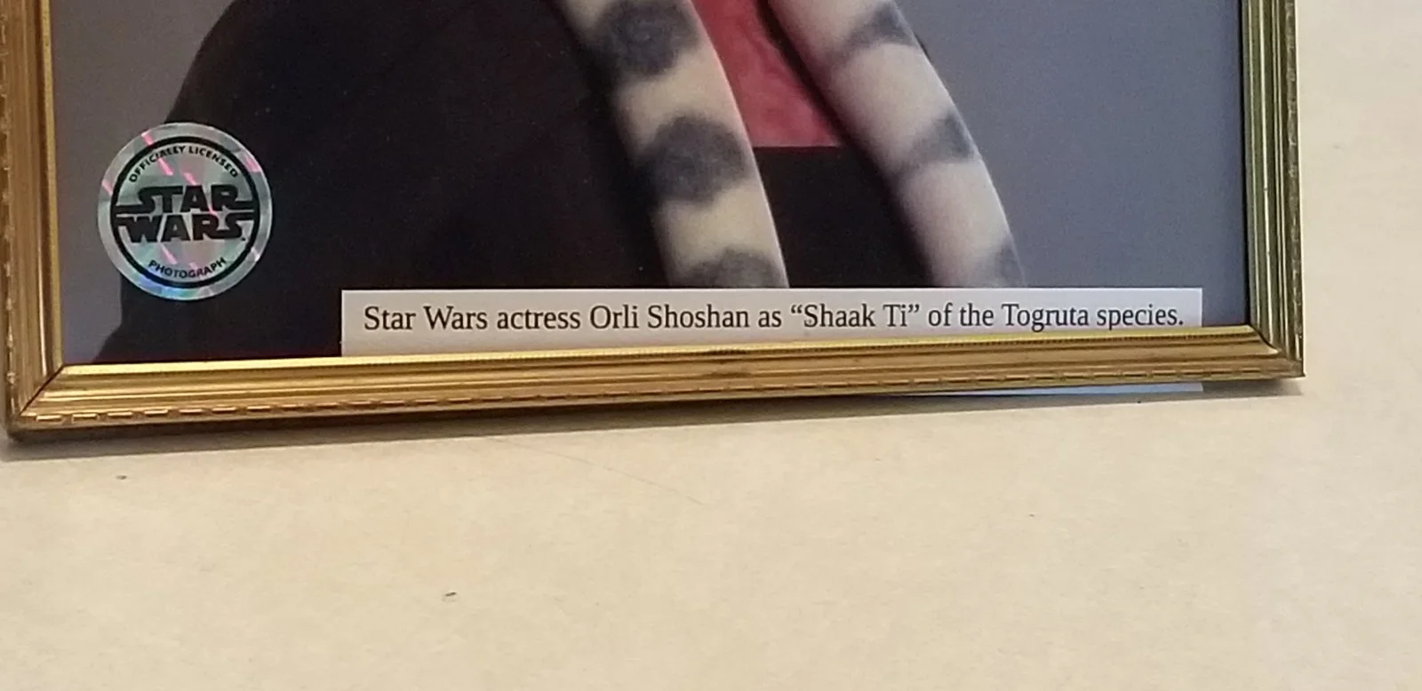 Orli Shoshan — Star Wars Shaak Ti Orli Shoshan Autographed 8 X 10 Framed Photo A1, изображение 2