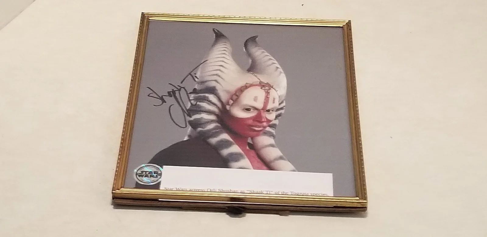 Orli Shoshan — Star Wars Shaak Ti Orli Shoshan Autographed 8 X 10 Framed Photo A1, изображение 4