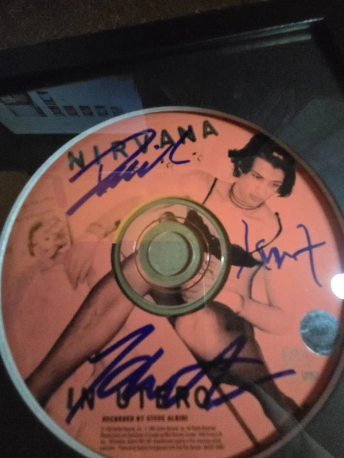 1993 NIRVANA signed KURT COBAIN~ DAVID GROHL+1 "IN UTERO" cd album FRAMED coa, изображение 2