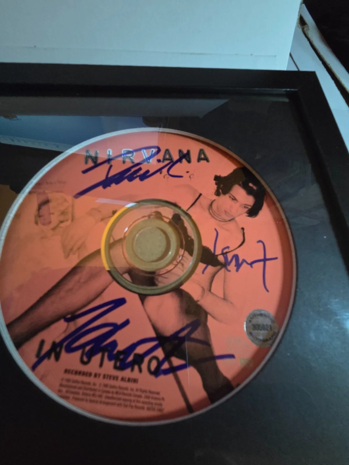 1993 NIRVANA signed KURT COBAIN~ DAVID GROHL+1 "IN UTERO" cd album FRAMED coa, изображение 4