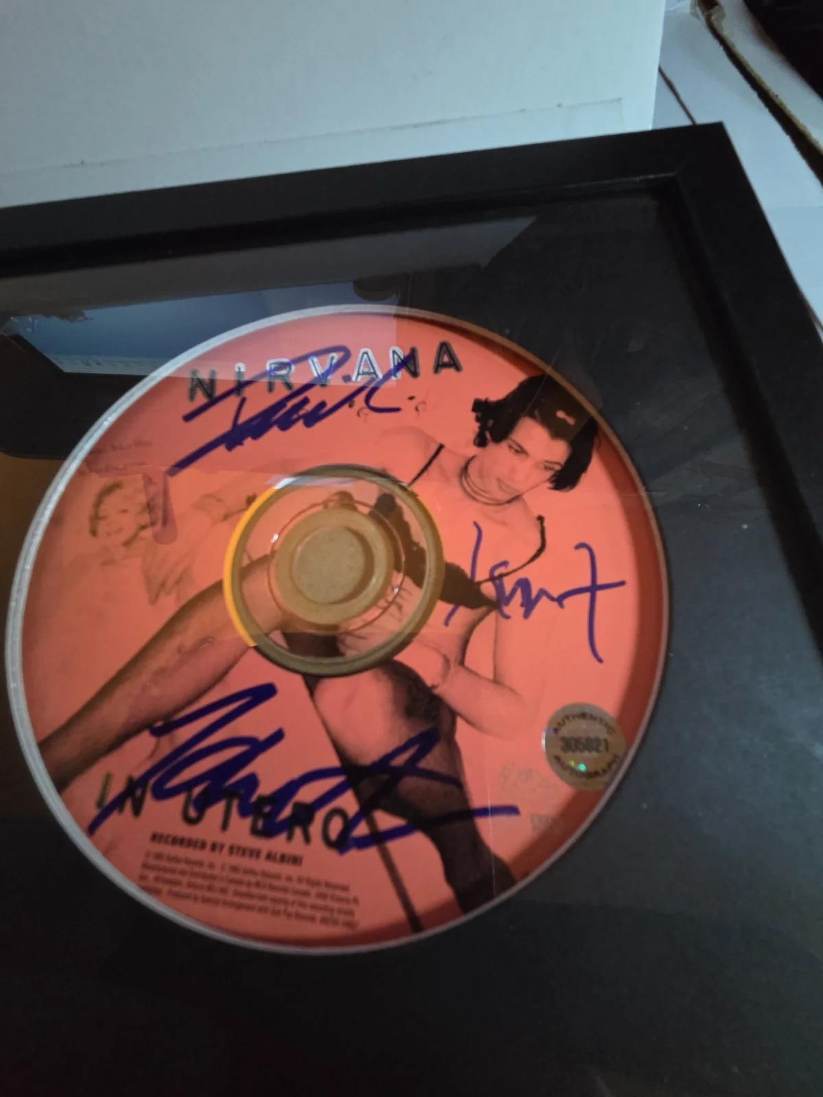 1993 NIRVANA signed KURT COBAIN~ DAVID GROHL+1 "IN UTERO" cd album FRAMED coa, изображение 5