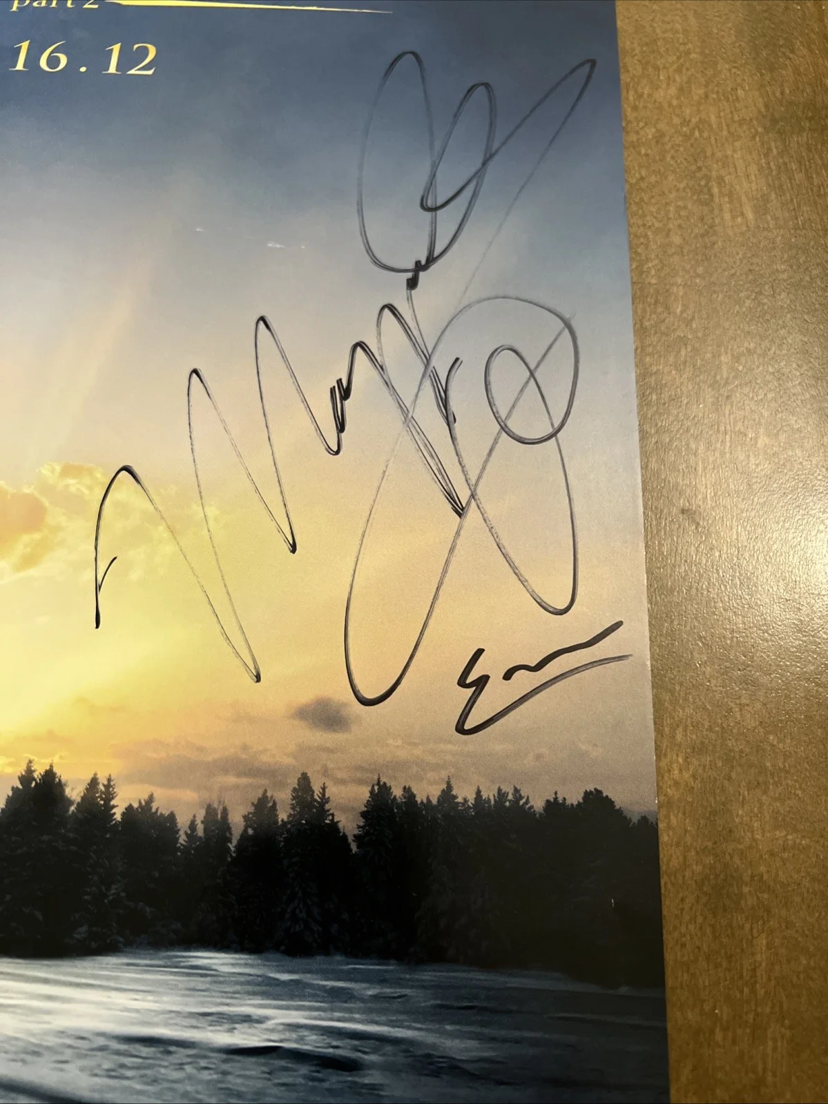 SDCC 2012 Twilight Breaking Dawn 11x17 Poster Signed Cast Maggie Grace +6, image 5