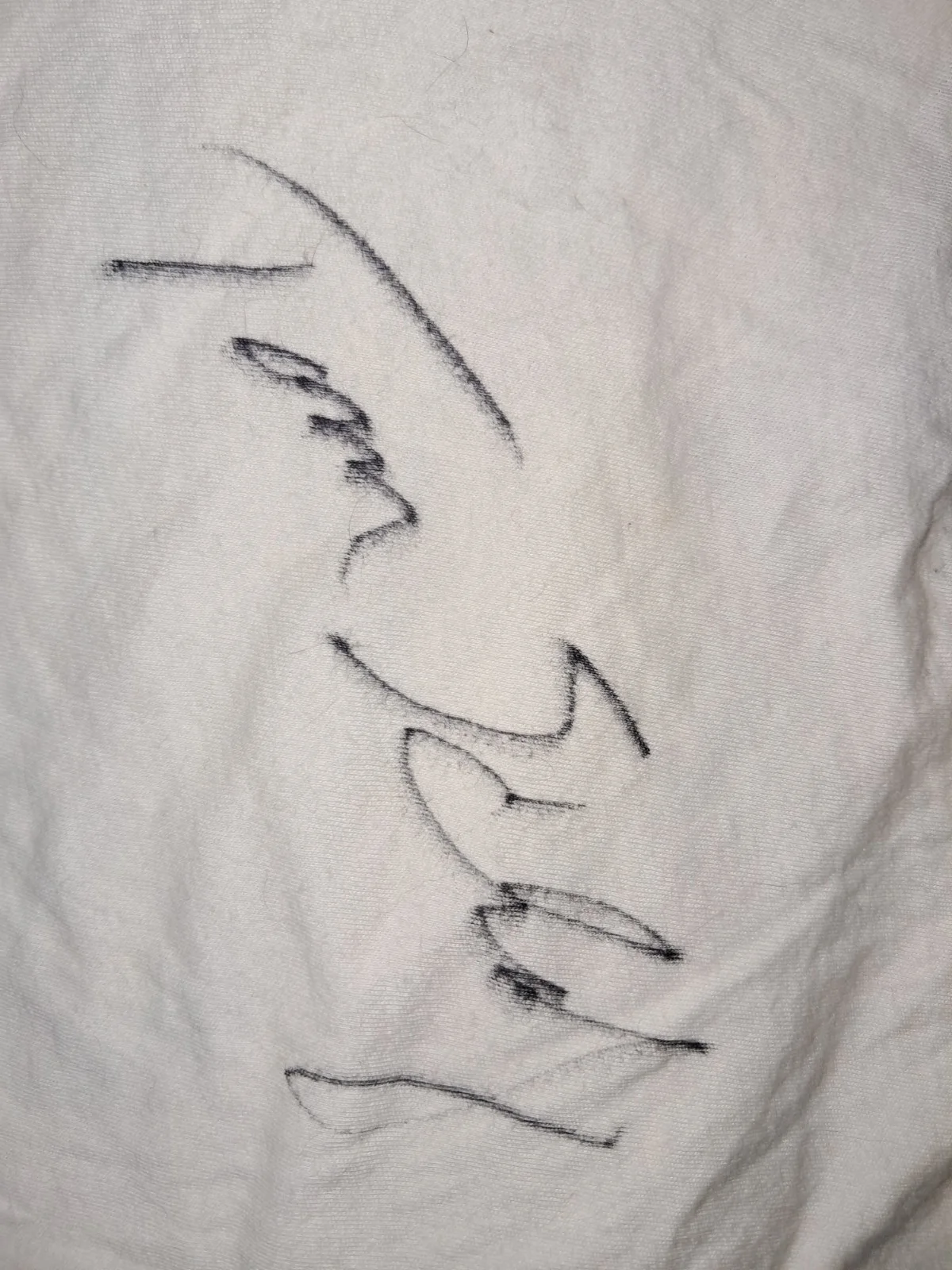 Signed Tom Scholz Boston T-shirt, image 5