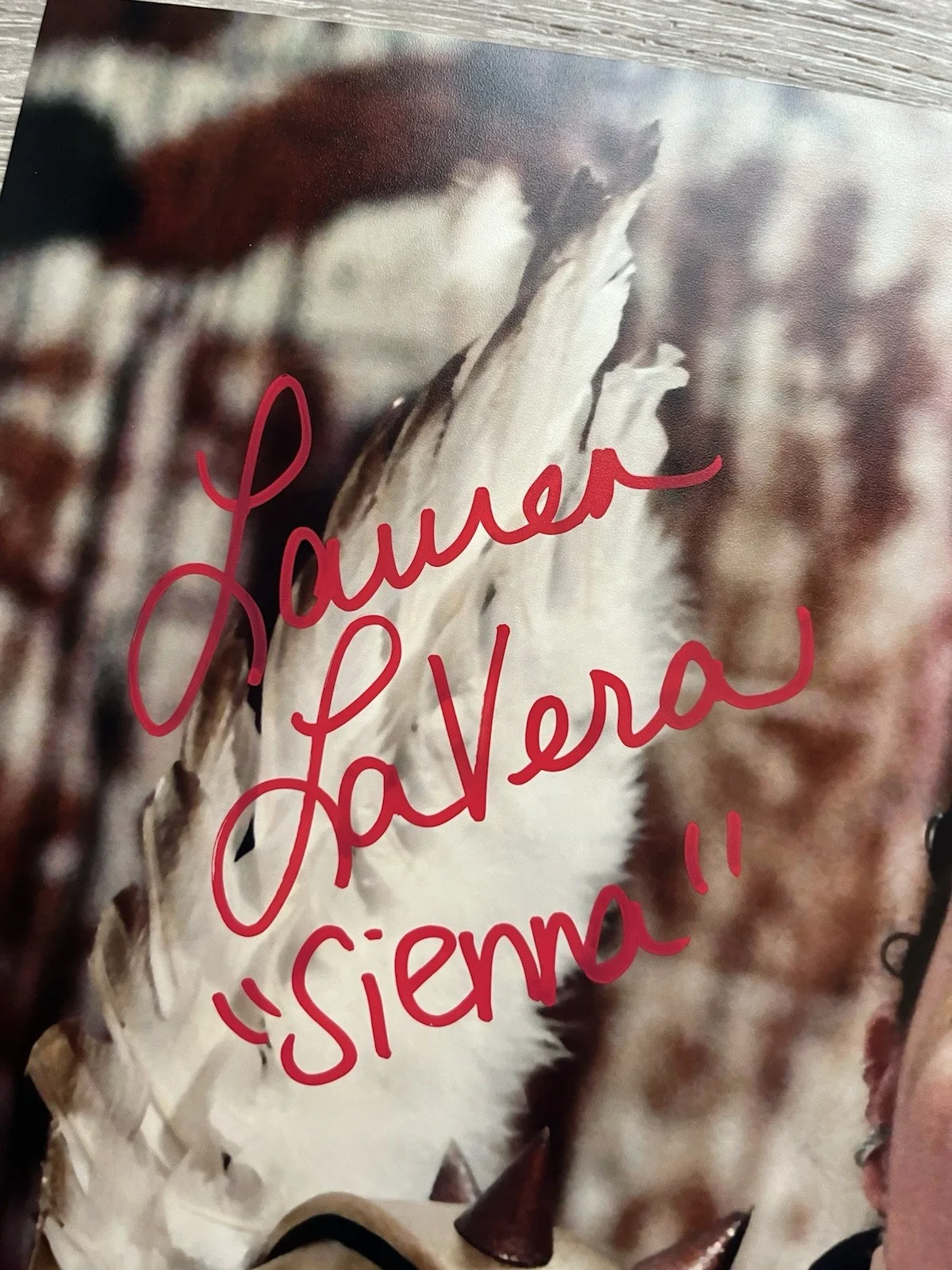 Lauren LaVera — Lauren LaVera Signed Terrifier 2 11x14 Photo JSA COA Sienna Art The Clown Horror, изображение 4