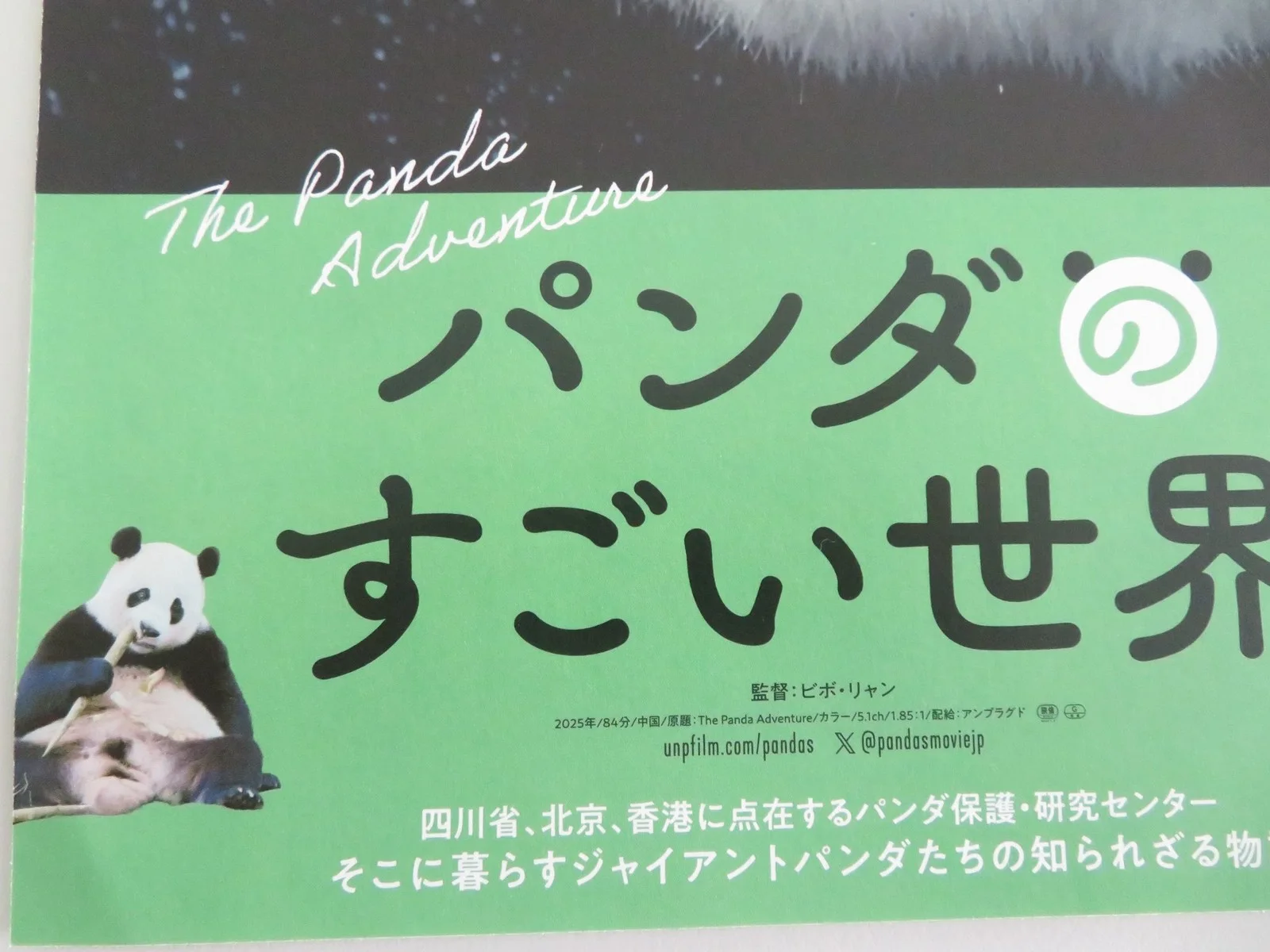 The Panda Adventure Japanese Chirashi (B5) Poster Kenichi Endo 2026, image 2