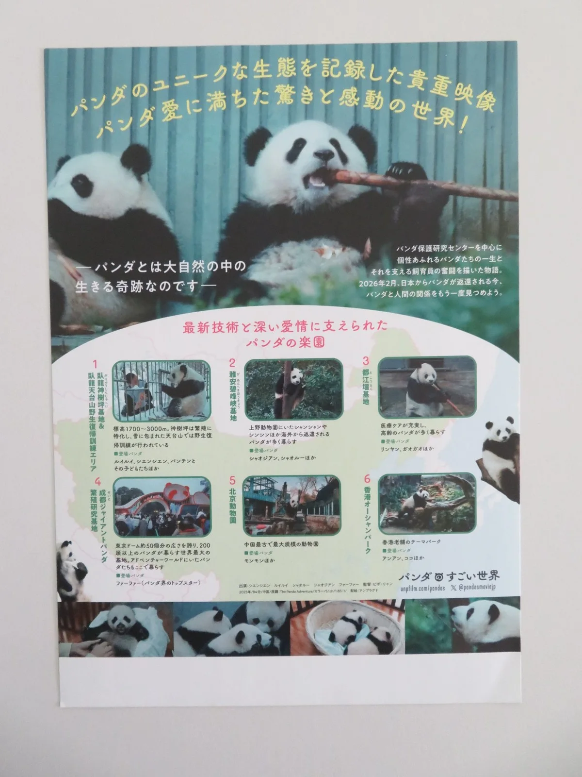 The Panda Adventure Japanese Chirashi (B5) Poster Kenichi Endo 2026, image 3