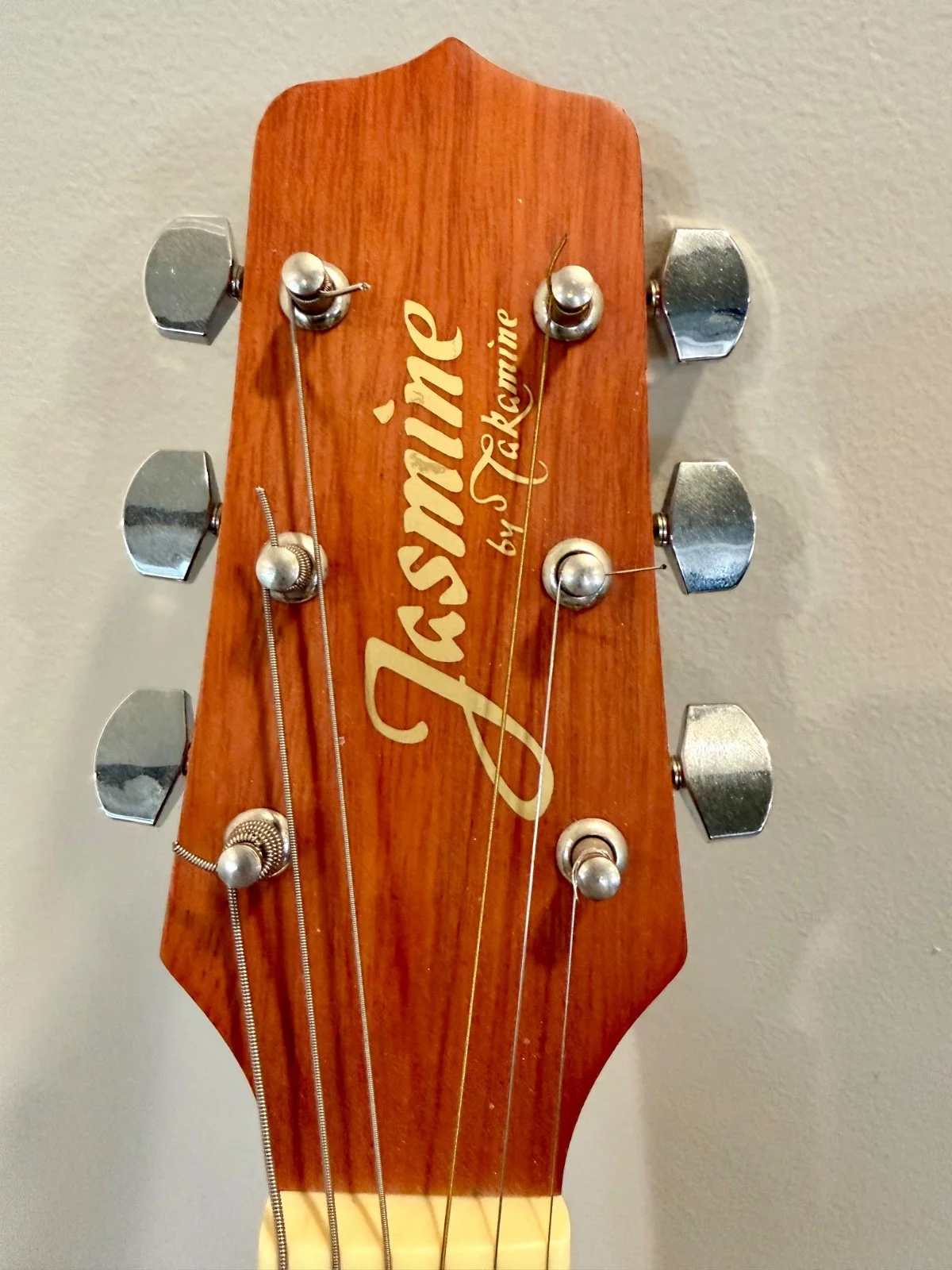 Dierks Bentley signed Jasmine acoustic guitar, image 5